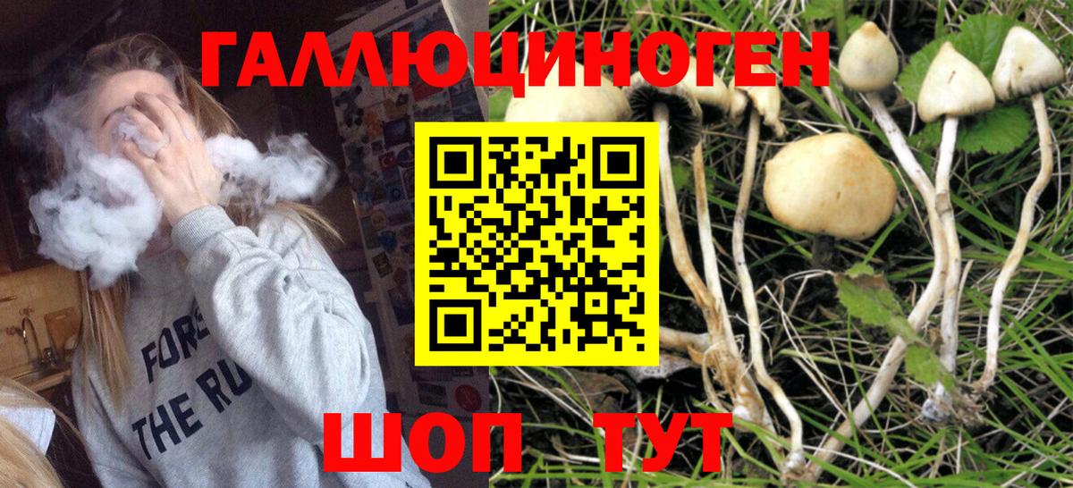Галлюциногенные грибы Psilocybe  Вход с VPN  Рыбинск 